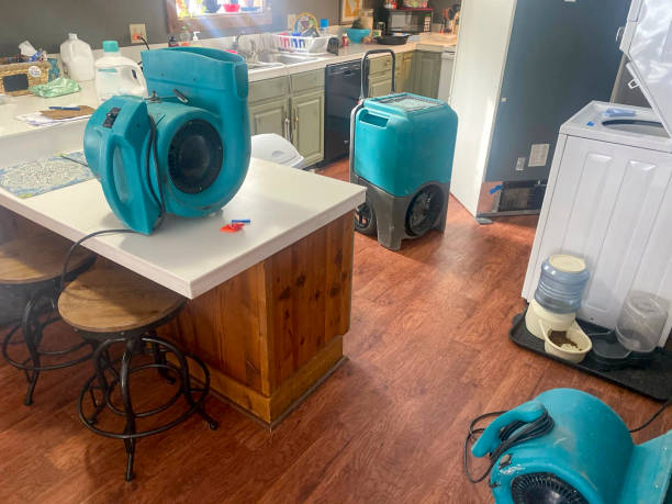 Best Water damage restoration experts  in Rosebud, TX
